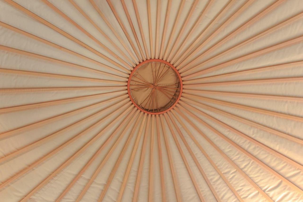 The Yurt Wai Rua Hotell Whangarei Exteriör bild